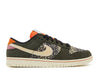 NIKE DUNK LOW SE 'RAINBOW TROUT' - FN7523-300
